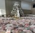 Feliz Natal!